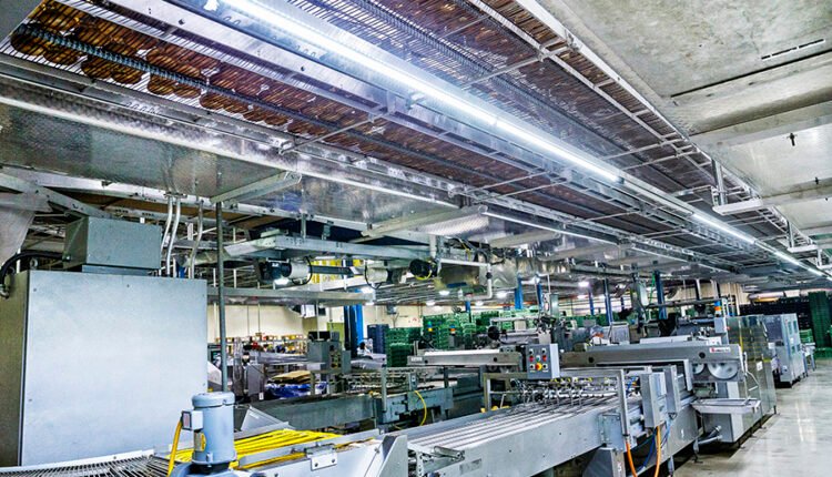 زيرف اكستروجن: الابتكار والتفوق في خطوط إنتاج الأغذية الخفيفة